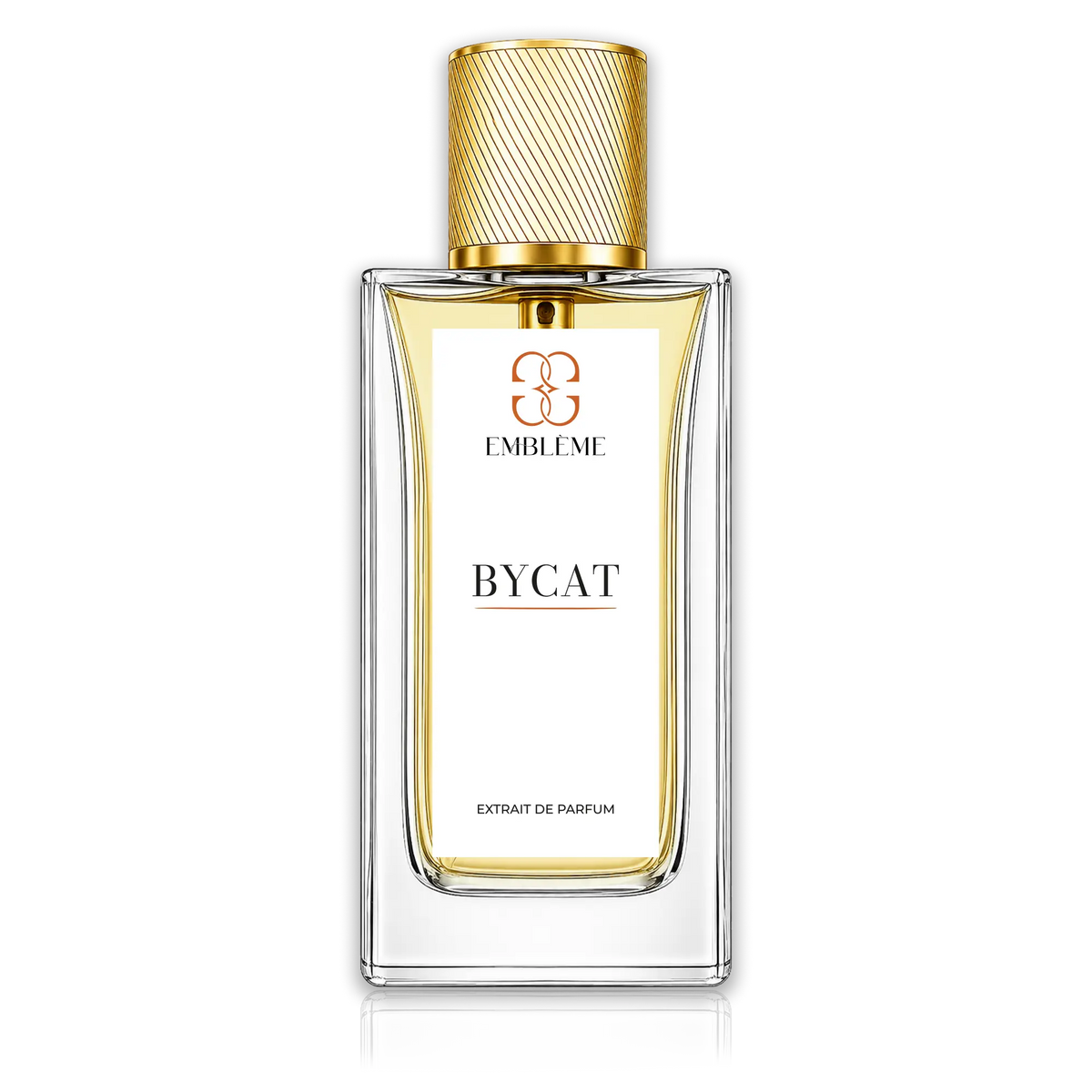 Bycat Emblème