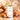 Santal Paris Emblème